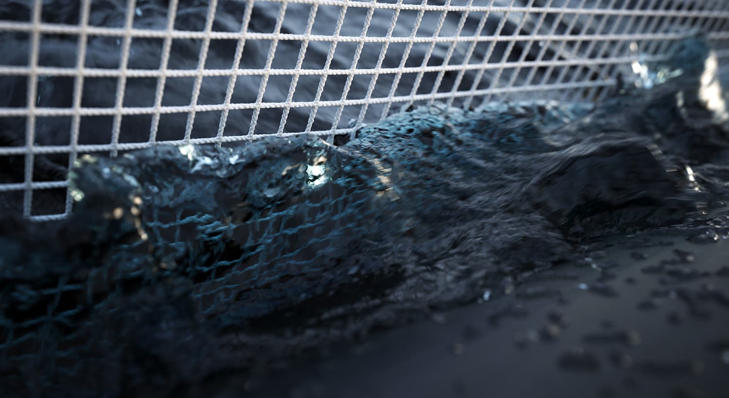 Nets (NYTEK23)